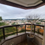 Apartamento à venda com 3 suítes em Água Fria, São Paulo, SP