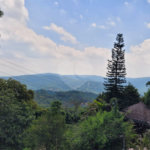 Casa à venda com 3 suítes em Serra da Cantareira, Mairiporã, SP