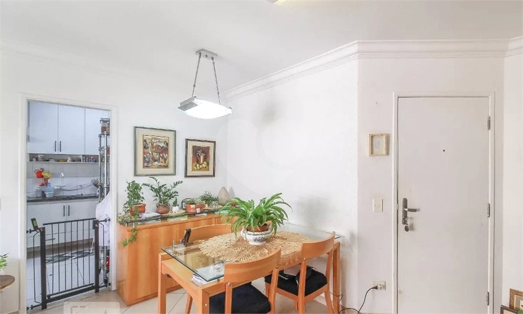 Apartamento à venda com 3 quartos, sendo 1 suíte, em Santa Teresinha, São Paulo, SP