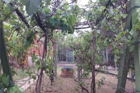 Casa à venda ou para alugar com 4 suítes no condomínio Residencial Vale das Laranjeiras, Indaiatuba - SP