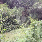 Terreno à venda no condomínio Parque Suiça, Caieiras - SP