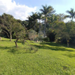 Sítio à venda com 8 suítes em Jardim Vinhas do Sol (mailasqui), São Roque, SP