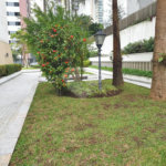 Apartamento à venda com 3 suítes em Santana, São Paulo, SP