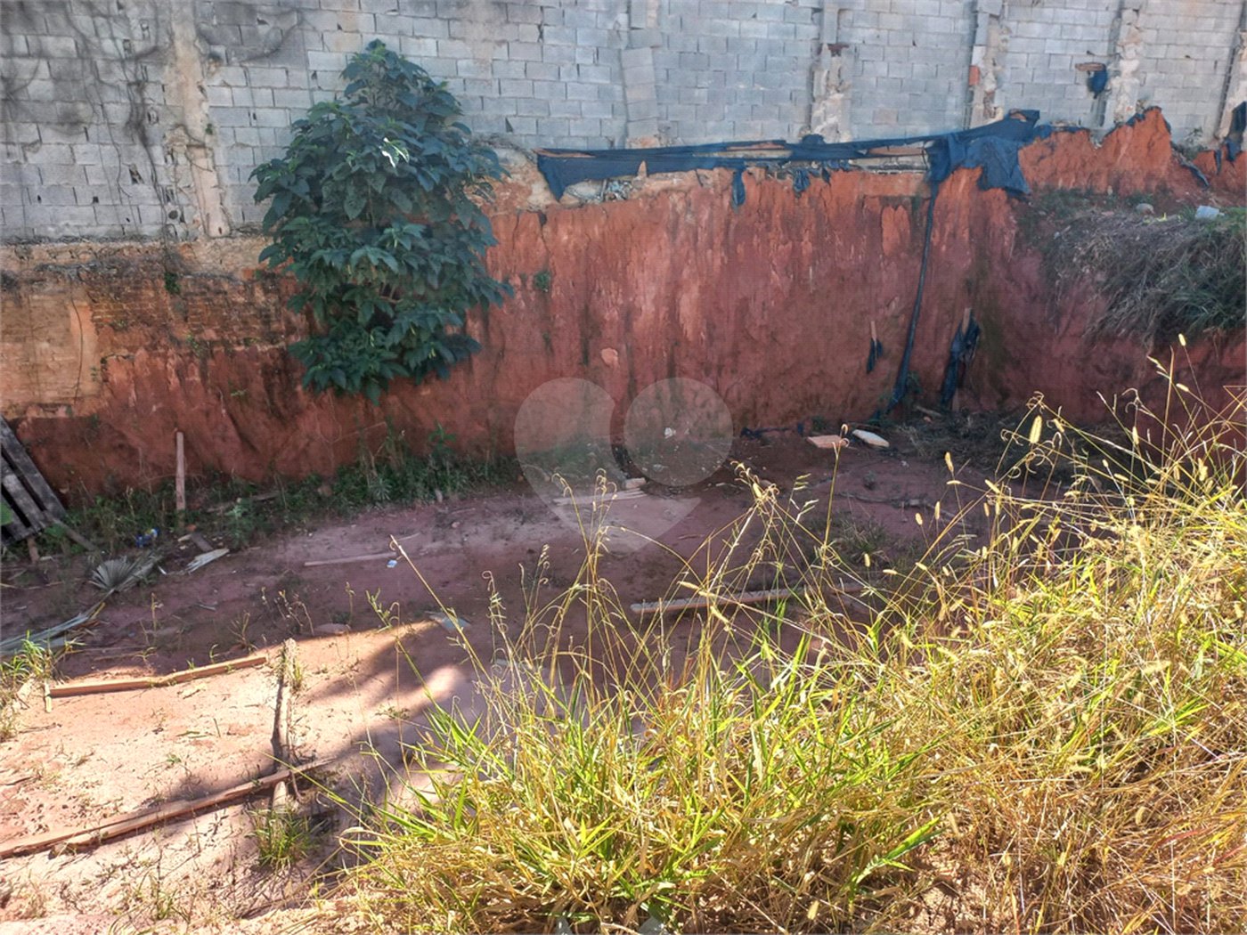 Terreno à venda em Jardim Floresta, São Paulo, SP