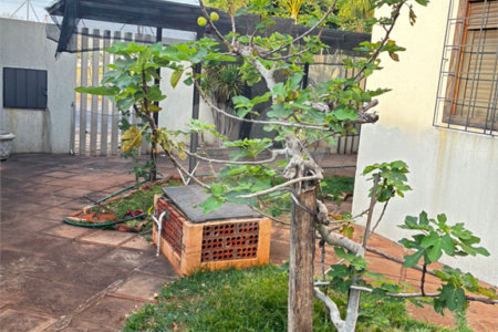 Sobrado para alugar com 4 quartos, sendo 2 suítes,  no Centro, Três Lagoas, MS
