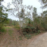 Terreno à venda em Vila Junqueira, São Roque, SP