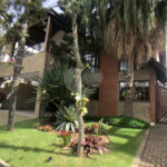 Casa à venda com 4 suítes no condomínio Residencial Floresta, São Paulo - SP