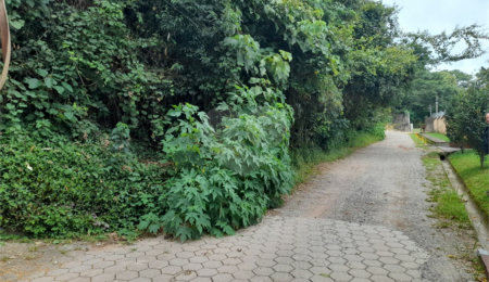 Terreno à venda em Serra da Cantareira, Mairiporã, SP