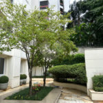 Apartamento para alugar com 3 quartos, sendo 1 suíte, em Pinheiros, São Paulo, SP