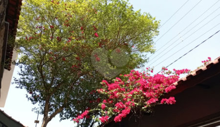 Casa à venda com 4 quartos, sendo 2 suítes, em Vila Curuçá, Santo André, SP
