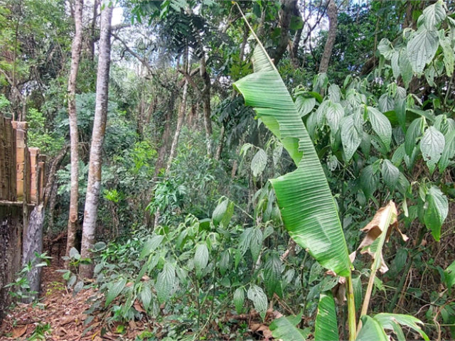 Condomínio à venda em Caraguatá, Mairiporã, SP