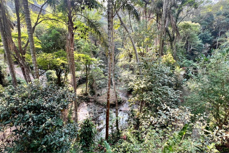 Casa à venda com 4 quartos, sendo 1 suíte, em Serra da Cantareira, Mairiporã, SP
