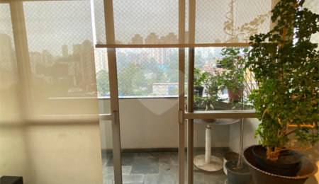 Apartamento à venda com 3 quartos, sendo 1 suíte, em Morumbi, São Paulo, SP