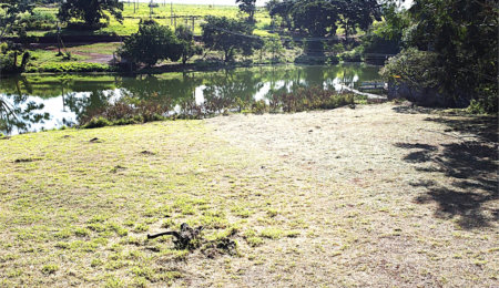 Terreno à venda no condomínio Garden Villa Rp, Ribeirão Preto - SP