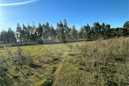 Terreno à venda em Sanga Puita, Ponta Porã, MS