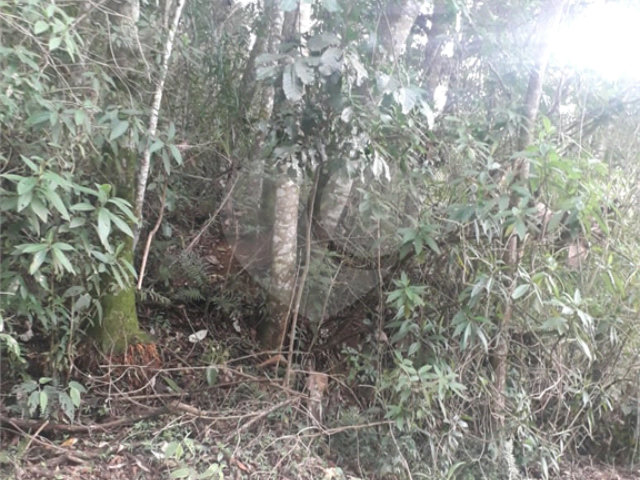 Terreno à venda em Suasalito, Mairiporã, SP