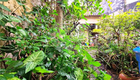 Casa à venda com 3 quartos, sendo 1 suíte, em Horto Florestal, São Paulo, SP