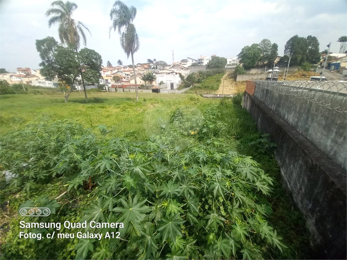 Terreno à venda em Vila Oliveira, Mogi das Cruzes, SP