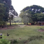 Sítio à venda com 3 quartos, sendo 1 suíte, em Recanto dos Bandeirantes, Porto Feliz, SP