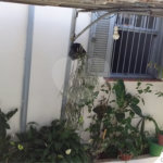 Terreno à venda com 2 quartos em Santa Teresinha, São Paulo, SP