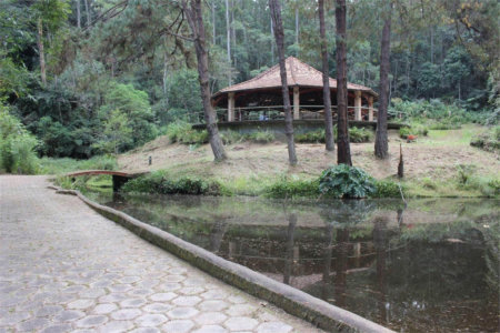 Sítio à venda com 5 suítes em Botujuru, Mogi das Cruzes, SP