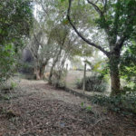 Terreno à venda em Chácaras Fernão Dias, Atibaia, SP