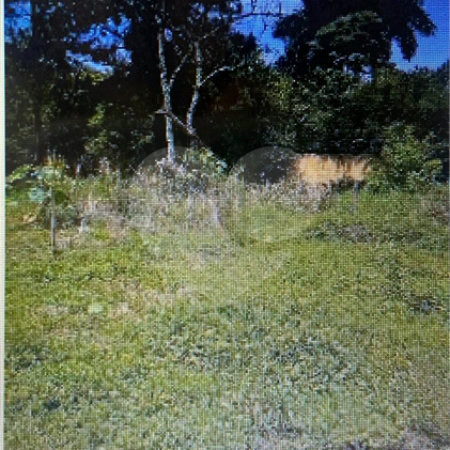 Terreno à venda em Jardim Colonial, Carapicuíba, SP