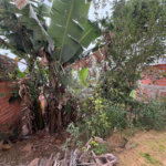 Casa à venda com 1 quarto em Jardim Santa Cruz, Porto Feliz, SP