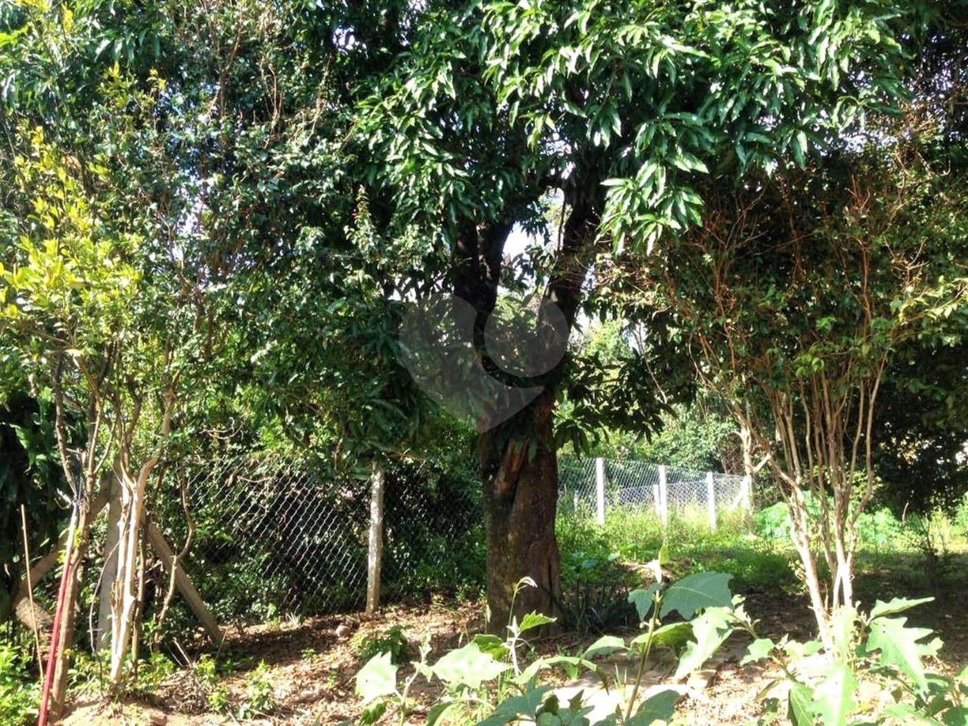 Casa à venda com 4 quartos em Capela, Vinhedo, SP