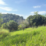 Sítio à venda com 3 quartos, sendo 1 suíte, no Centro, Guararema, SP
