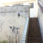 Sobrado à venda com 3 quartos, sendo 1 suíte, em Jardim São Paulo(zona Norte), São Paulo, SP