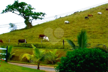 Fazenda à venda em Eugênio de Mello, São José dos Campos, SP