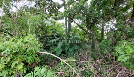 Terreno à venda em Recanto do Jataí, Sorocaba, SP
