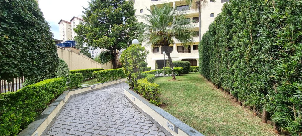 Apartamento à venda com 4 quartos, sendo 1 suíte, em Horto Florestal, São Paulo, SP