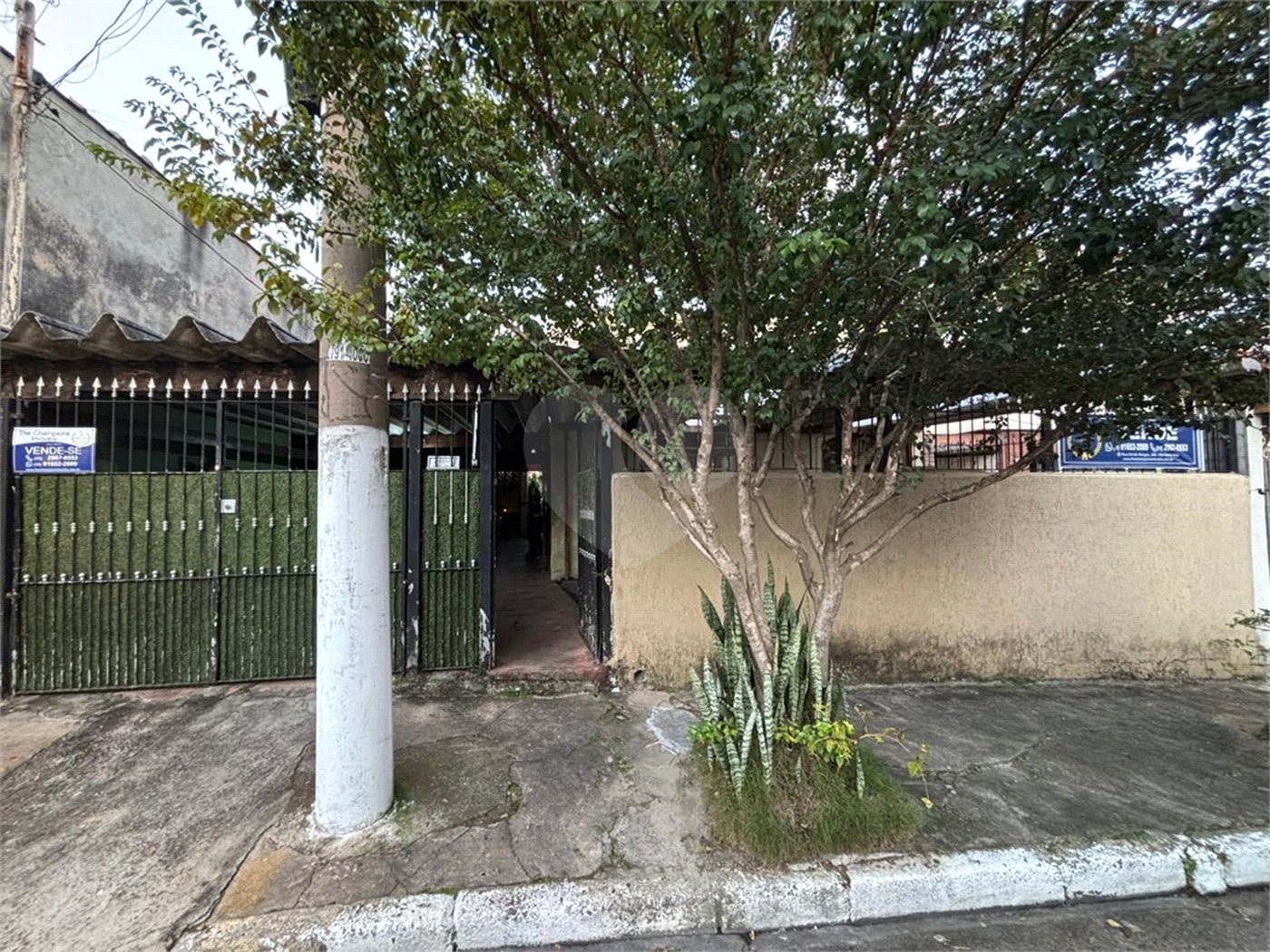 Casa Térrea à venda com 3 quartos em Vila Maria Alta, São Paulo, SP
