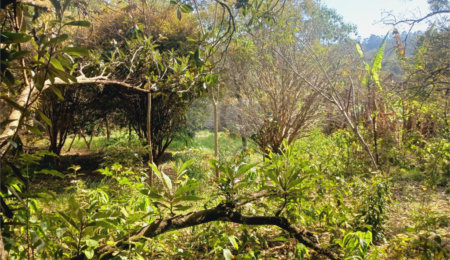 Terreno à venda em Luiz Fagundes, Mairiporã, SP