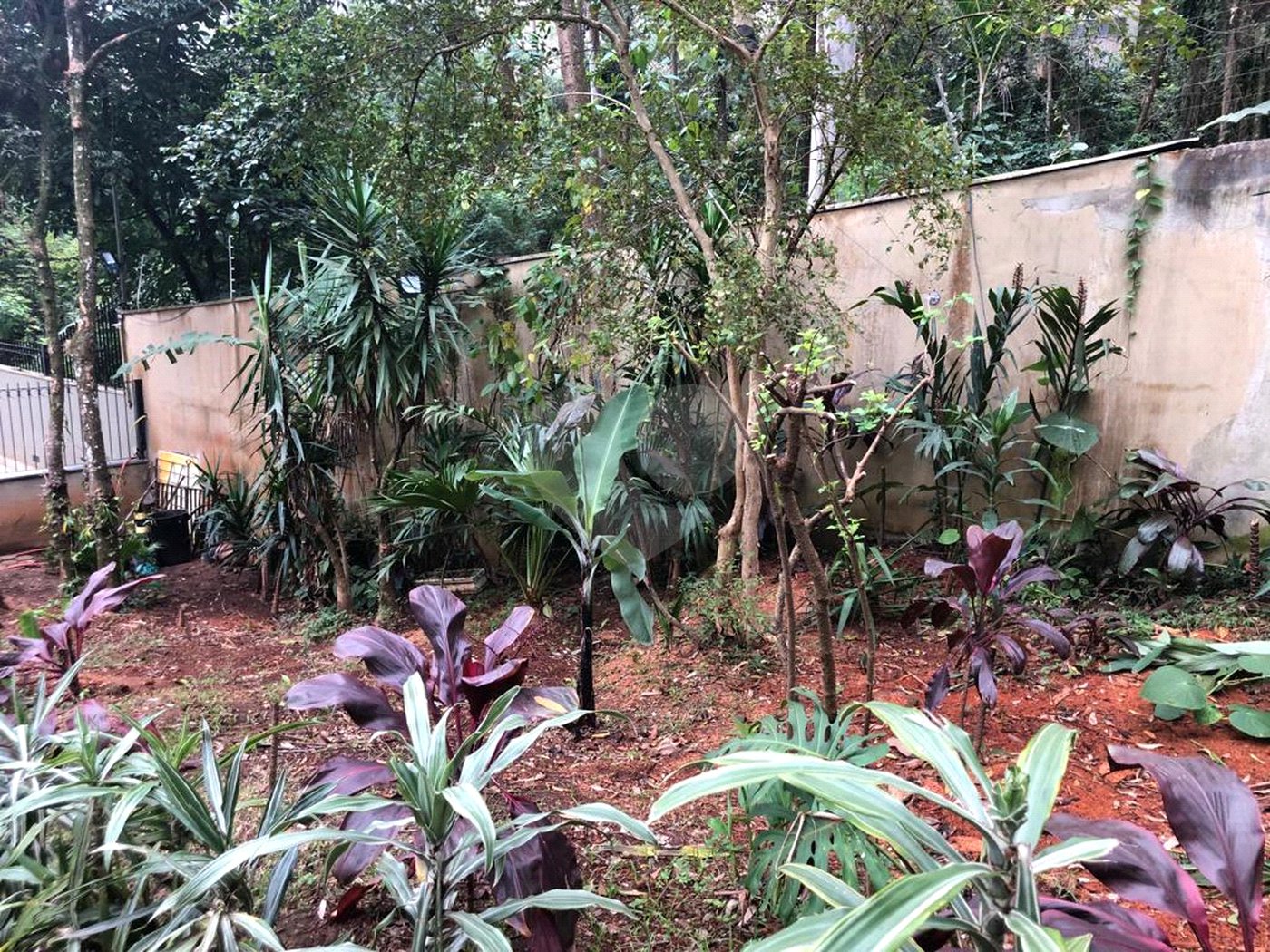 Apartamento à venda com 3 quartos, sendo 1 suíte, em Vila Andrade, São Paulo, SP
