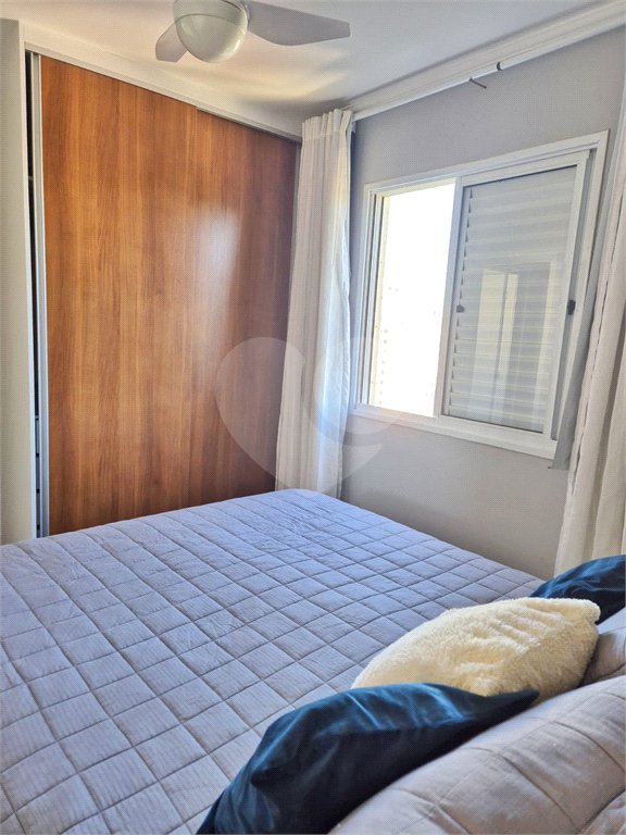 Apartamento à venda com 3 quartos, sendo 1 suíte, em Vila Nova Cachoeirinha, São Paulo, SP