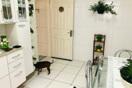 Casa à venda com 2 quartos em Alto da Lapa, São Paulo, SP