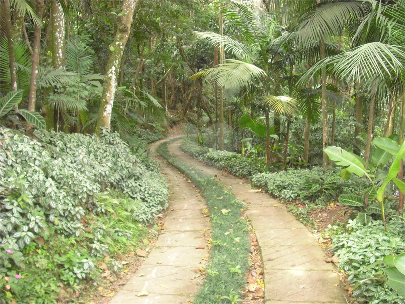 Casa à venda com 8 quartos, sendo 4 suítes, em Parque Alves de Lima, São Paulo, SP