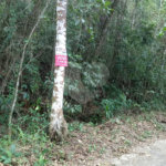 Terreno à venda em Serra da Cantareira, Mairiporã, SP