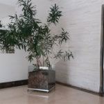 Apartamento à venda com 3 quartos, sendo 1 suíte, em Vila Aurora (zona Norte), São Paulo, SP