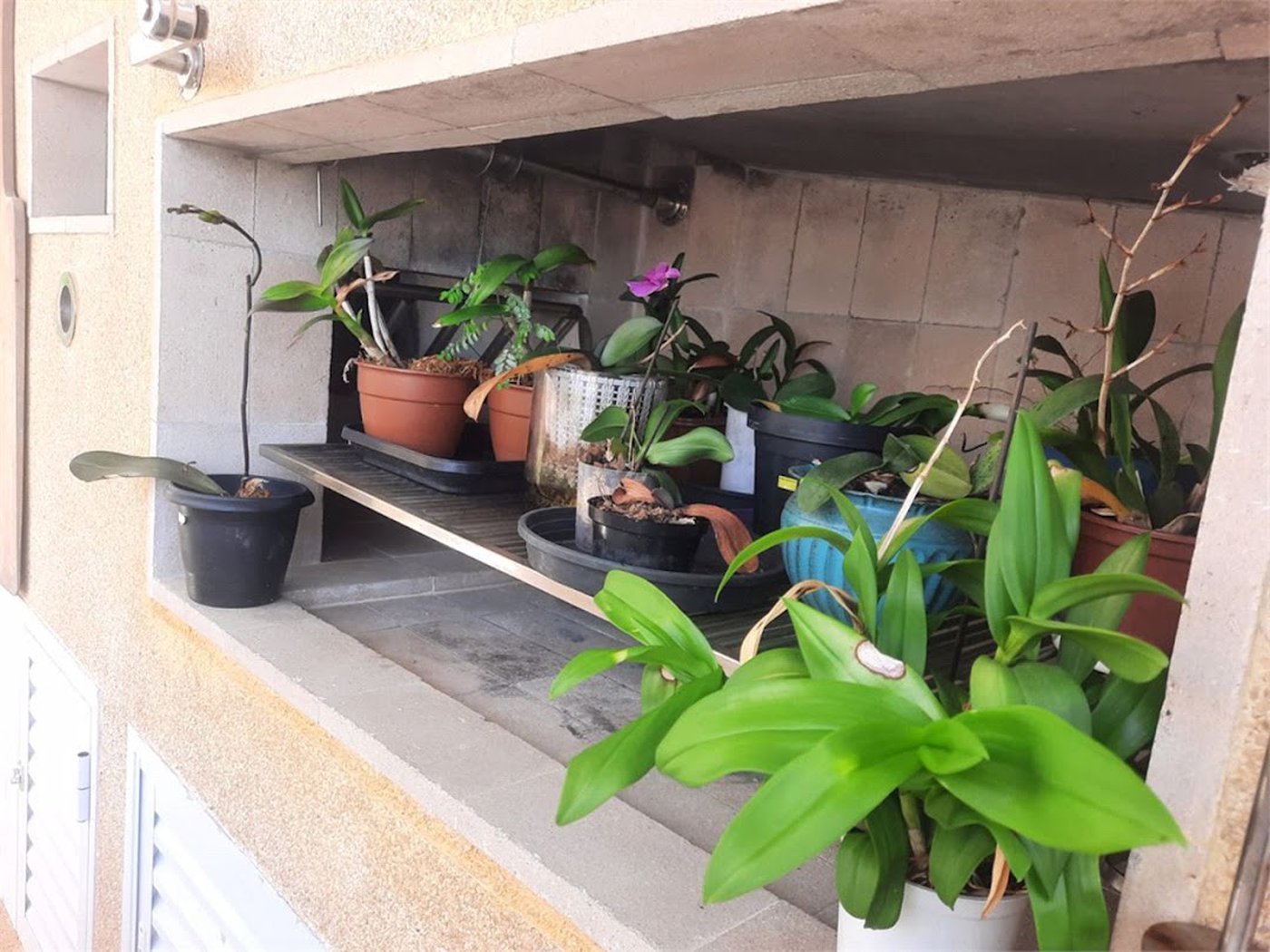 Cobertura com 3 dormitórios à venda, 200 m² por R$ 1.590.000,00 - Barra Funda - Guarujá/SP