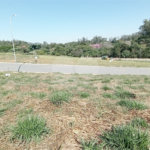Terreno à venda com 1 suíte em Jardim Portugal, Valinhos, SP