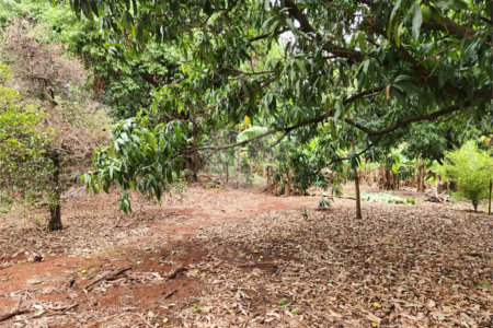 Chácara à venda com 2 quartos em Jardim Califórnia, Araraquara, SP