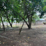 Chácara à venda com 3 quartos, sendo 1 suíte, em Bosque, Vinhedo, SP
