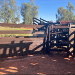Chácara à venda com 6 quartos no Centro, Terenos, MS