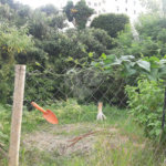 Terreno à venda em Tucuruvi, São Paulo, SP