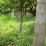 Terreno à venda em Tremembé, São Paulo, SP