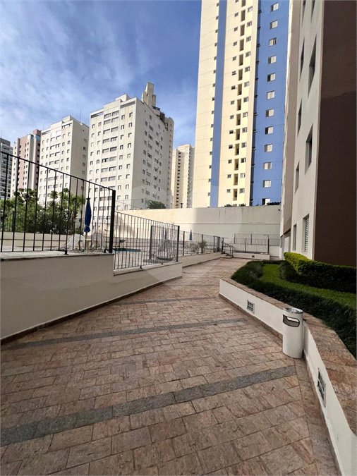 Apartamento para alugar com 3 quartos em Vila Mascote, São Paulo, SP